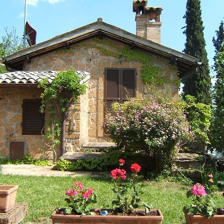 B&B Casaselita Ορβιέτο Εξωτερικό φωτογραφία