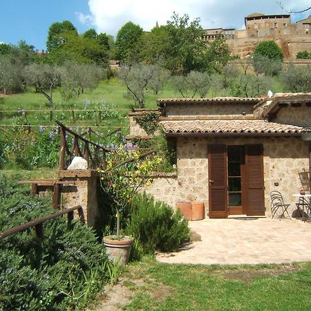 B&B Casaselita Ορβιέτο Εξωτερικό φωτογραφία