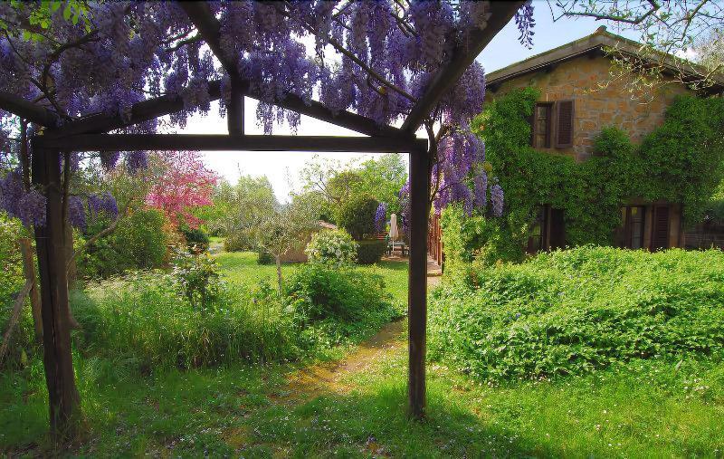 B&B Casaselita Ορβιέτο Εξωτερικό φωτογραφία